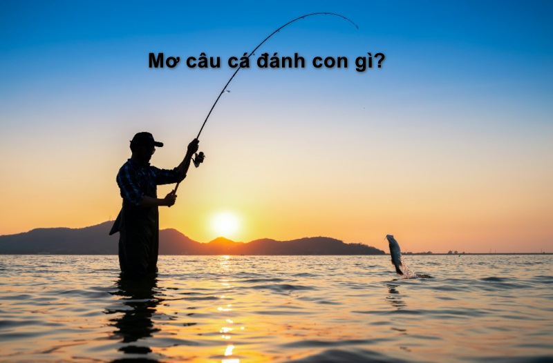 mơ câu cá đánh con gì
